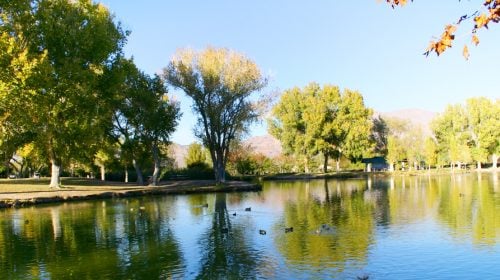 Visit the Beautiful, 2,000 Acre Floyd Lamb Park in Las Vegas