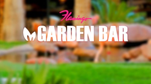 Garden Bar at Flamingo