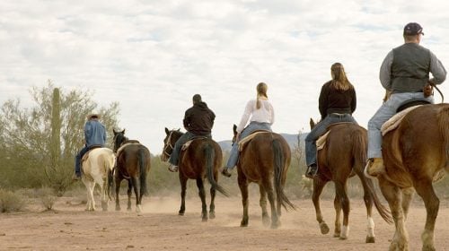Rise Early with this Amazing Red Rock Canyon Horseback Riding Tour!
