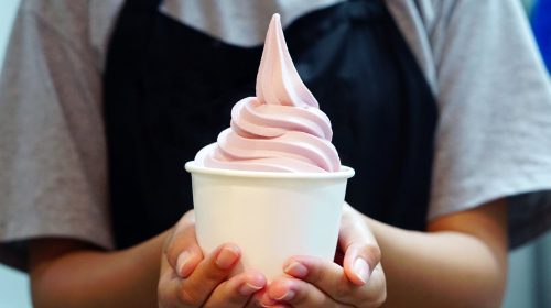 Blizz Frozen Yogurt — Multiple Locations